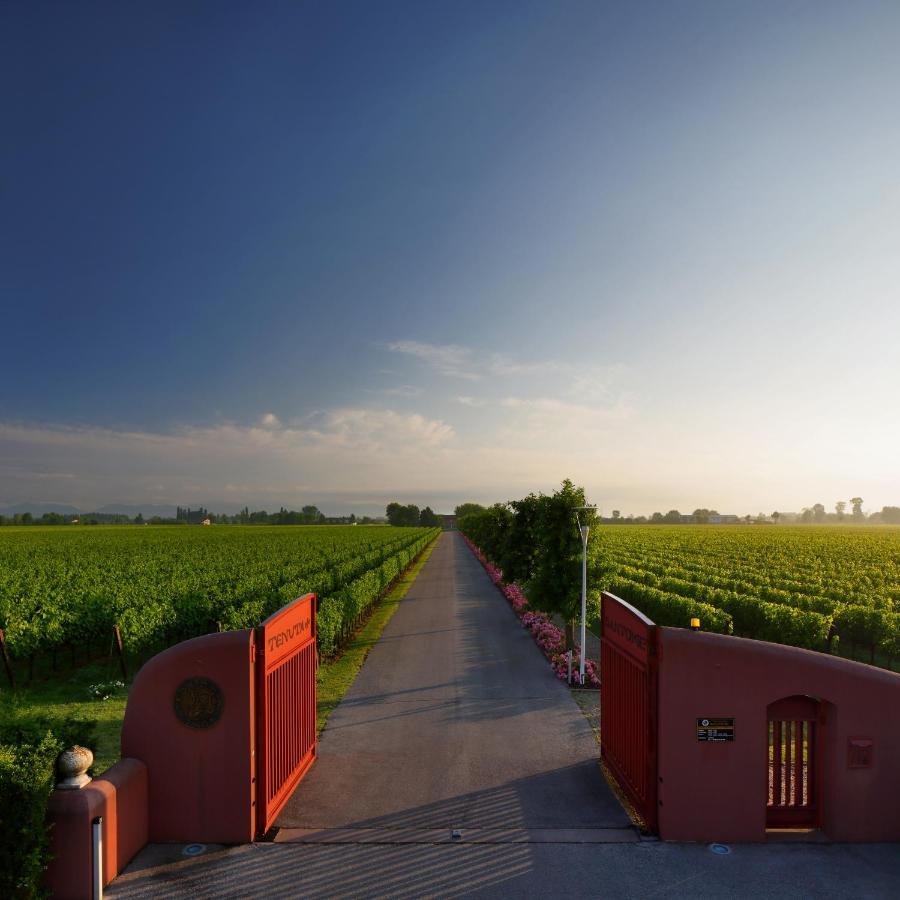 Tenuta Santome Biancade Luaran gambar
