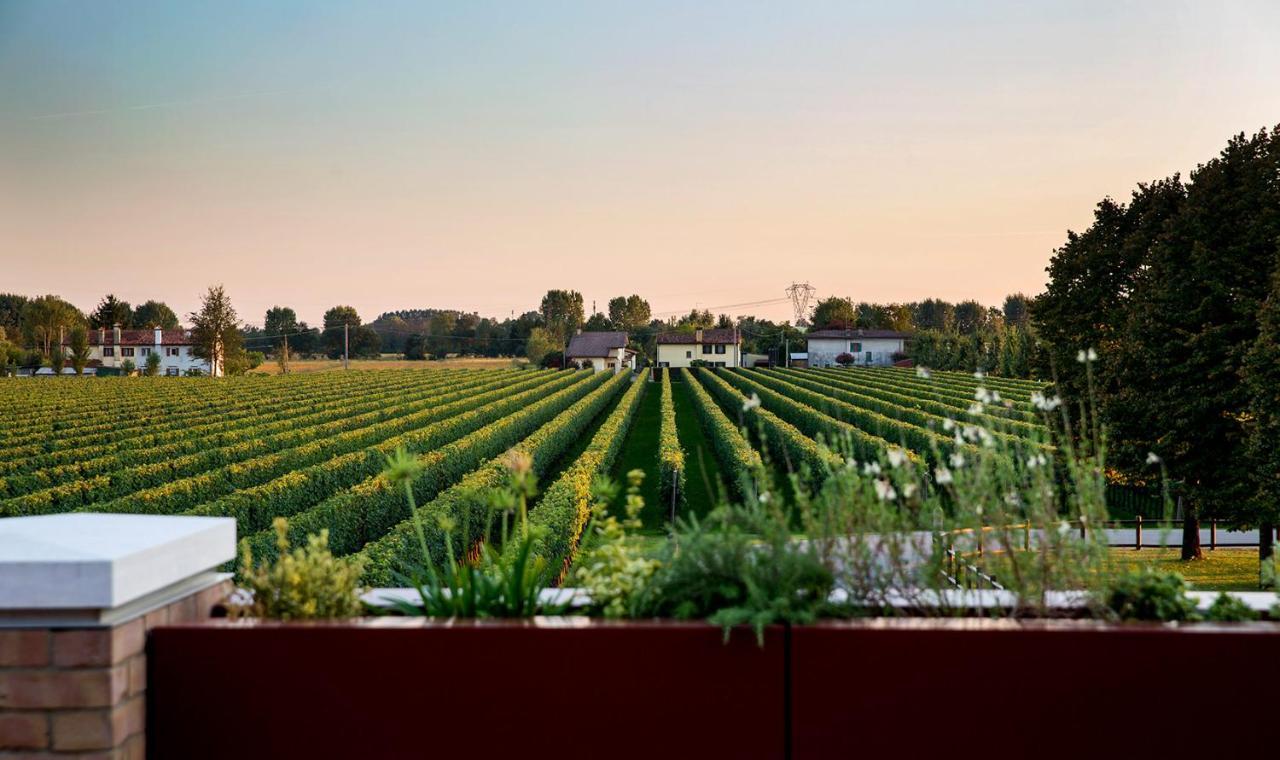 Tenuta Santome Biancade Luaran gambar