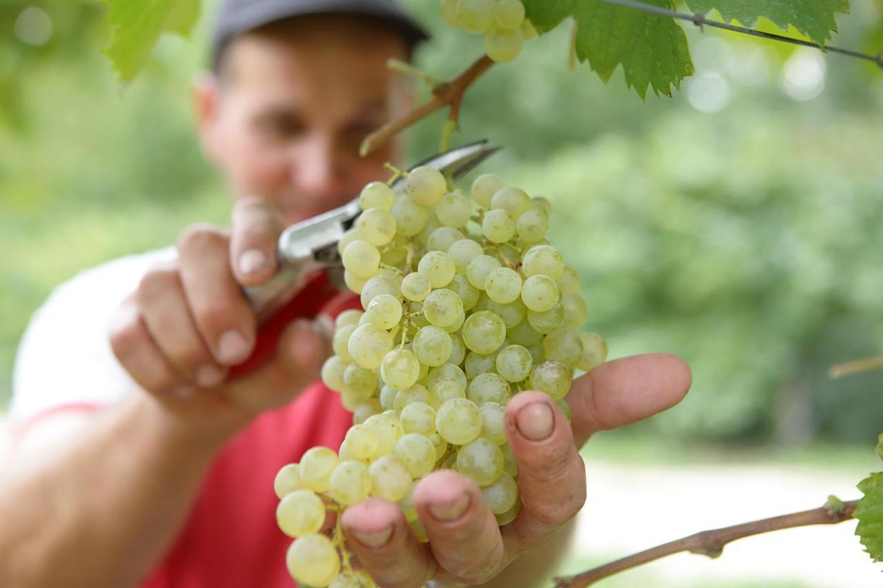 Tenuta Santome Biancade Luaran gambar
